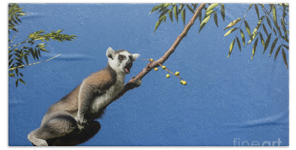 ring-tailed lemur Madagascar 5 Photograph by Rudi Prott - Pixels